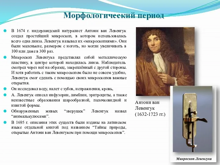 В 1674 г. нидерландский натуралист Антони ван Левенгук создал простейший микроскоп, в котором