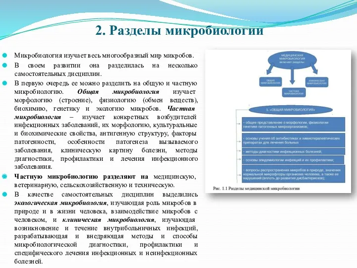 2. Разделы микробиологии Микробиология изучает весь многообразный мир микробов. В своем развитии она