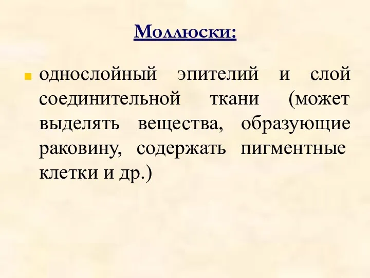 Моллюски: однослойный эпителий и слой соединительной ткани (может выделять вещества,