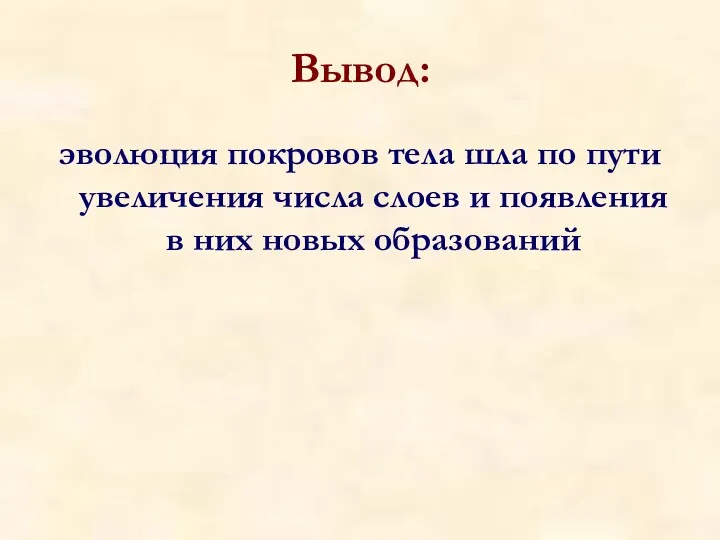 Вывод: эволюция покровов тела шла по пути увеличения числа слоев и появления в них новых образований