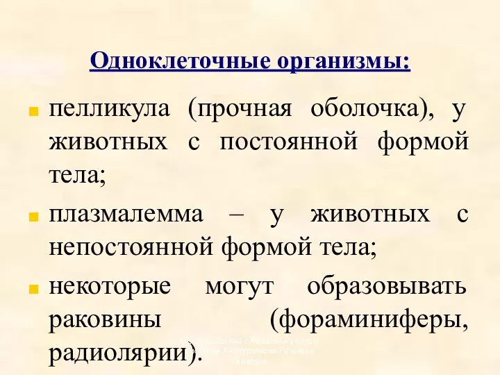 Одноклеточные организмы: пелликула (прочная оболочка), у животных с постоянной формой