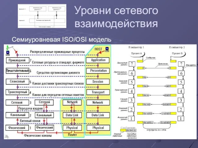 Уровни сетевого взаимодействия Семиуровневая ISO/OSI модель