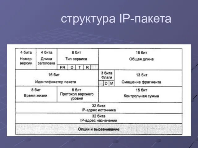 структура IP-пакета