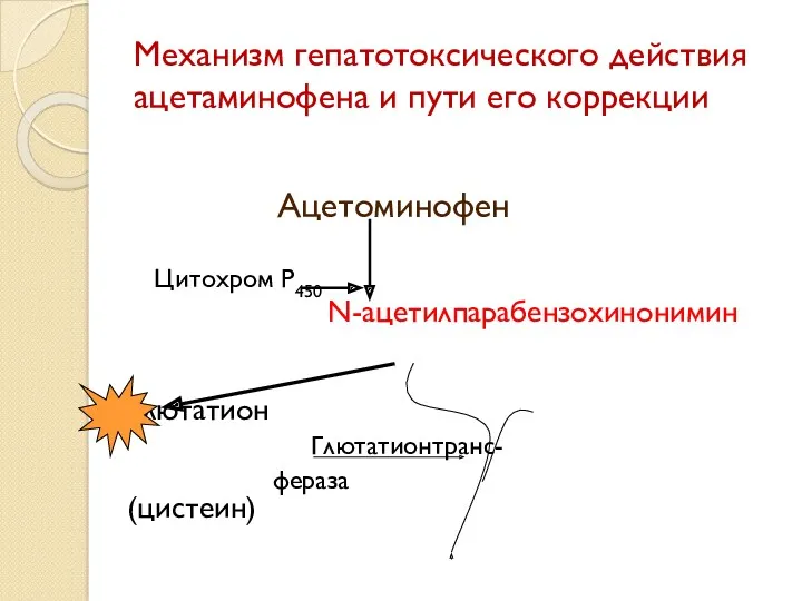 Механизм гепатотоксического действия ацетаминофена и пути его коррекции Ацетоминофен Цитохром Р450 N-ацетилпарабензохинонимин Глютатион Глютатионтранс- фераза (цистеин)