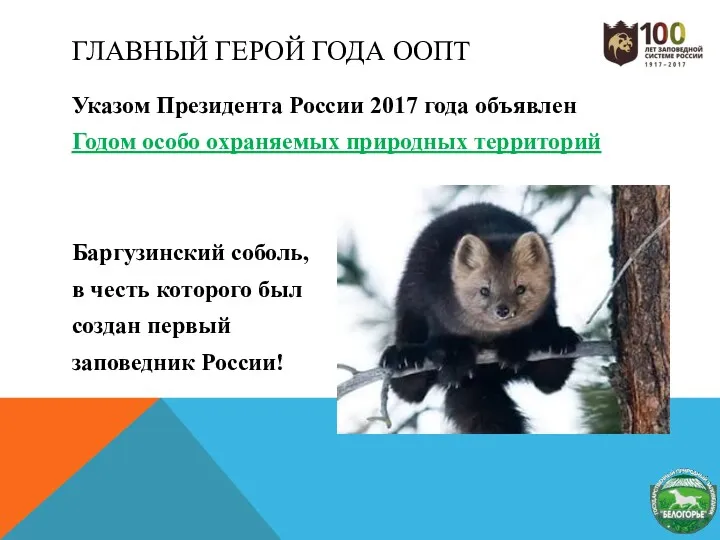 ГЛАВНЫЙ ГЕРОЙ ГОДА ООПТ Указом Президента России 2017 года объявлен