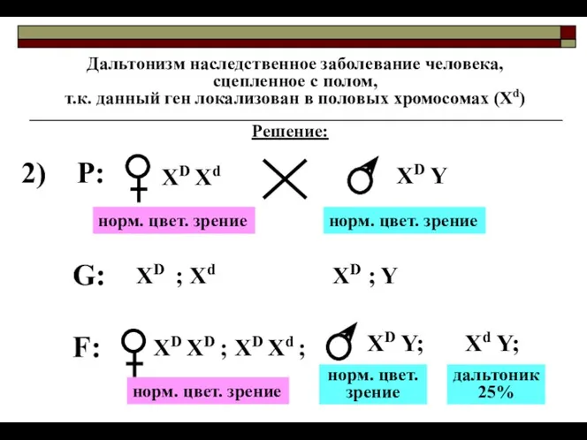 Дальтонизм наследственное заболевание человека, сцепленное с полом, т.к. данный ген