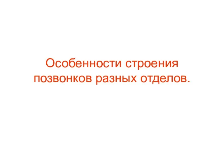 Особенности строения позвонков разных отделов.