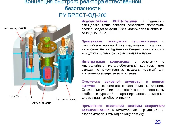 Концепция быстрого реактора естественной безопасности РУ БРЕСТ-ОД-300 ГЦНА Парогенератор Корпус