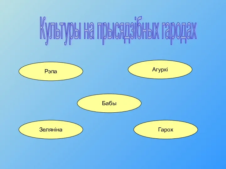 Культуры на прысядзібных гародах Рэпа Агуркі Зеляніна Гарох Бабы