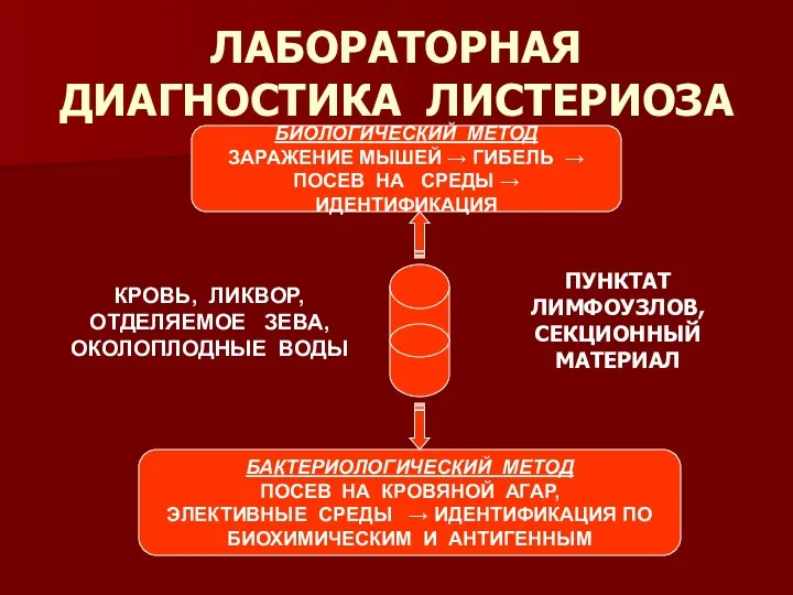 ЛАБОРАТОРНАЯ ДИАГНОСТИКА ЛИСТЕРИОЗА БИОЛОГИЧЕСКИЙ МЕТОД ЗАРАЖЕНИЕ МЫШЕЙ → ГИБЕЛЬ →