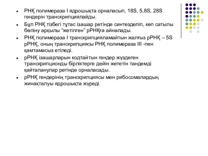 РНҚ полимераза І ядрошықта орналасып, 18S, 5,8S, 28S гендерін транскрипциялайды.