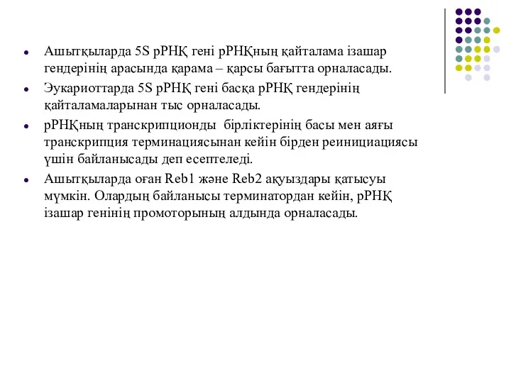 Ашытқыларда 5S рРНҚ гені рРНҚның қайталама ізашар гендерінің арасында қарама