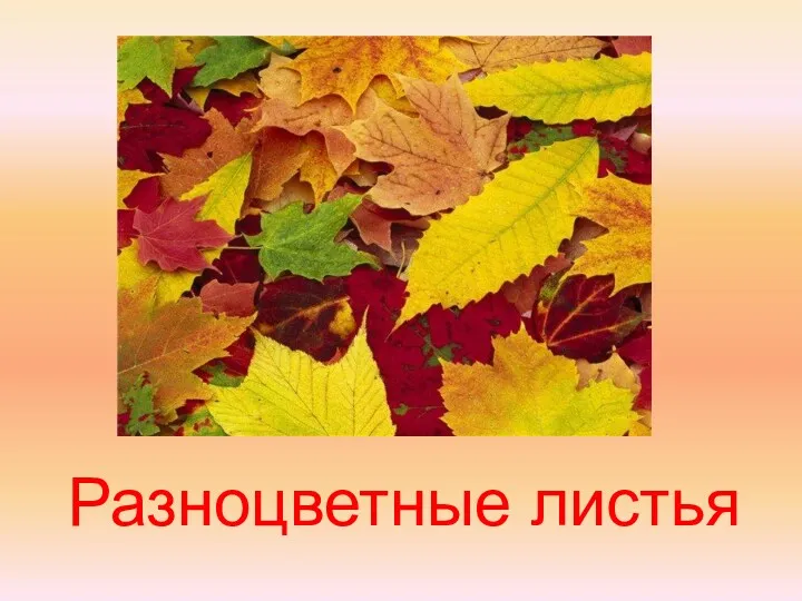 Разноцветные листья