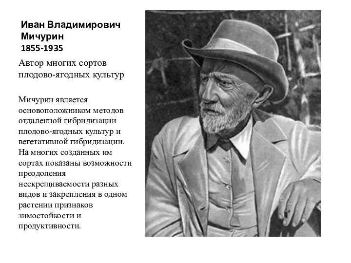 Иван Владимирович Мичурин 1855-1935 Автор многих сортов плодово-ягодных культур Мичурин