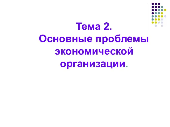 Тема 2. Основные проблемы экономической организации.