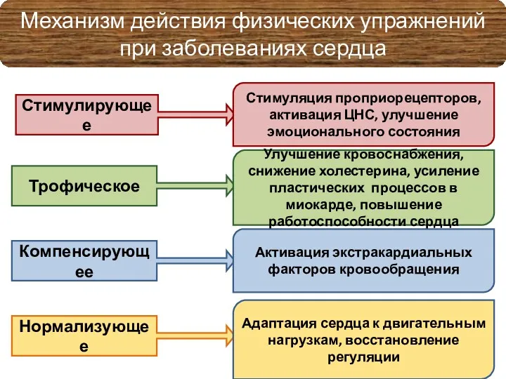 Механизм действия физических упражнений при заболеваниях сердца Стимулирующее Трофическое Компенсирующее