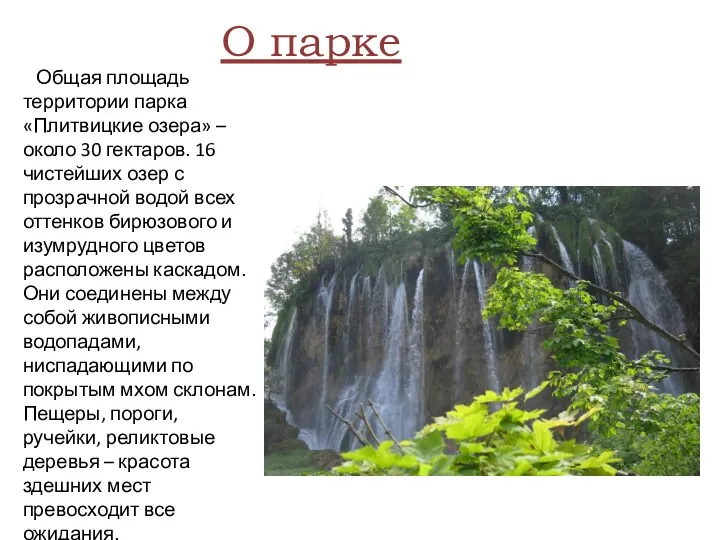 Общая площадь территории парка «Плитвицкие озера» – около 30 гектаров.