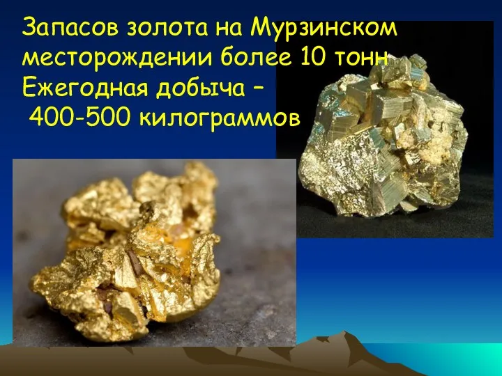 Запасов золота на Мурзинском месторождении более 10 тонн Ежегодная добыча – 400-500 килограммов