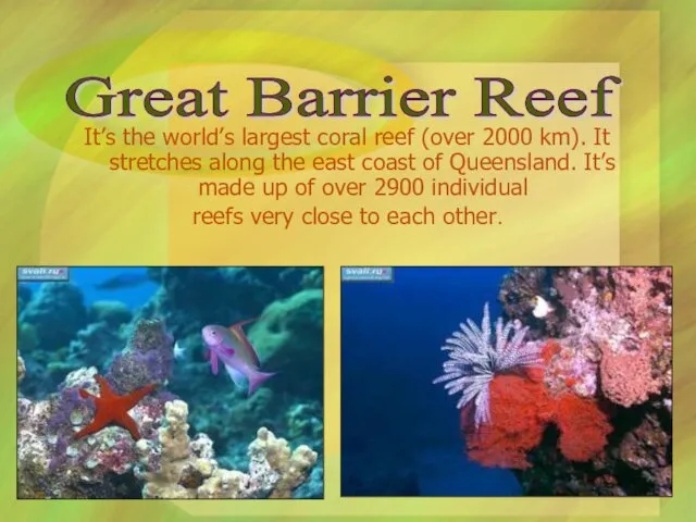 It’s the world’s largest coral reef (over 2000 km). It stretches along the