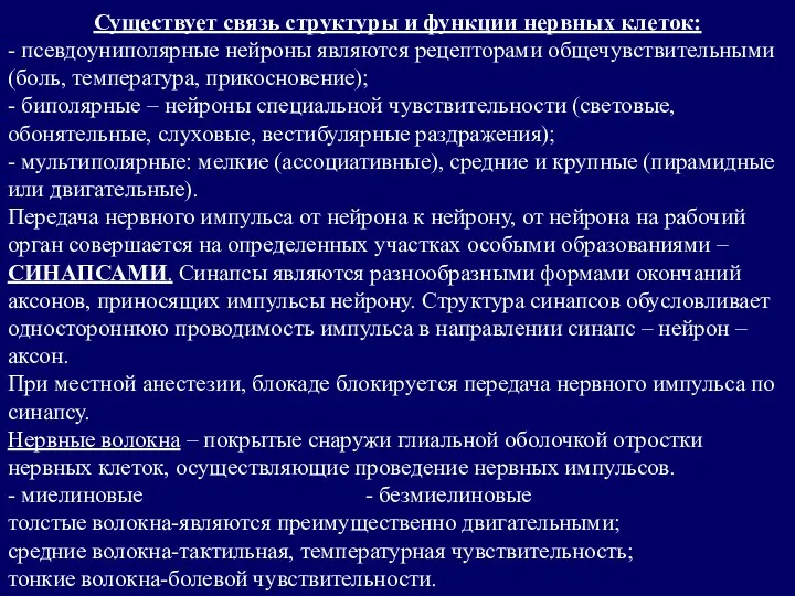 Существует связь структуры и функции нервных клеток: - псевдоуниполярные нейроны