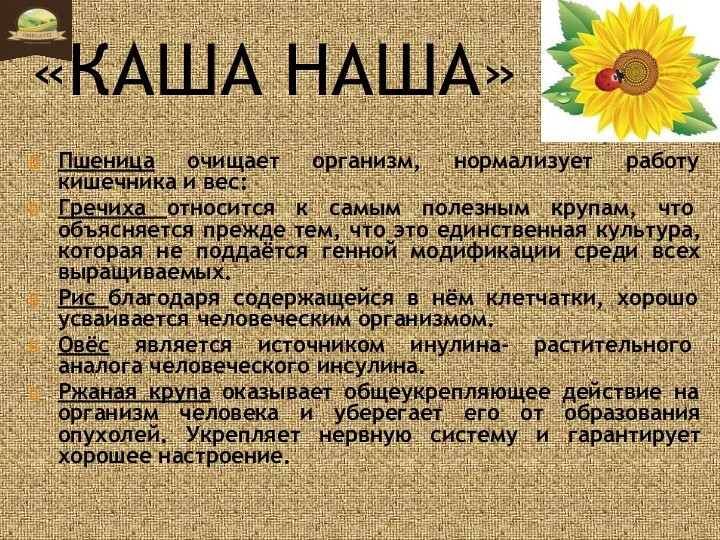 «КАША НАША» Пшеница очищает организм, нормализует работу кишечника и вес: