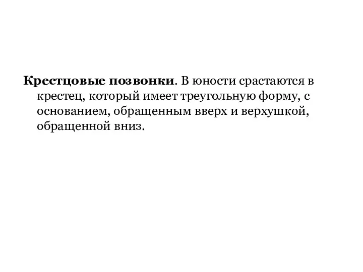 Крестцовые позвонки. В юности срастаются в крестец, который имеет треугольную