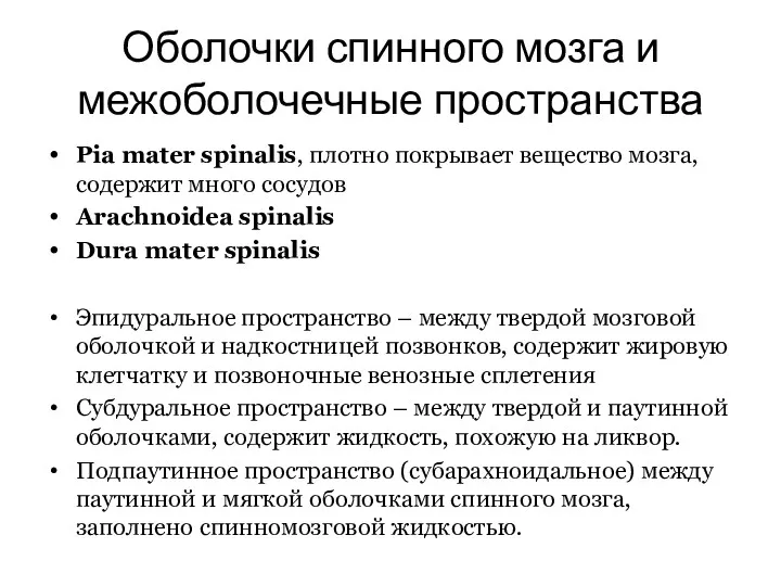 Оболочки спинного мозга и межоболочечные пространства Pia mater spinalis, плотно