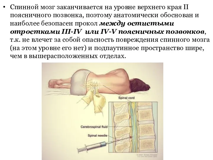 Спинной мозг заканчивается на уровне верхнего края II поясничного позвонка,