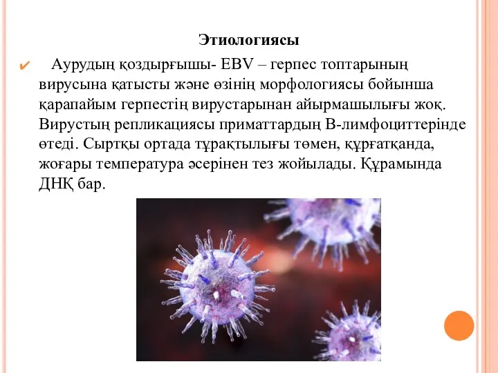 Этиологиясы Аурудың қоздырғышы- EBV – герпес топтарының вирусына қатысты және