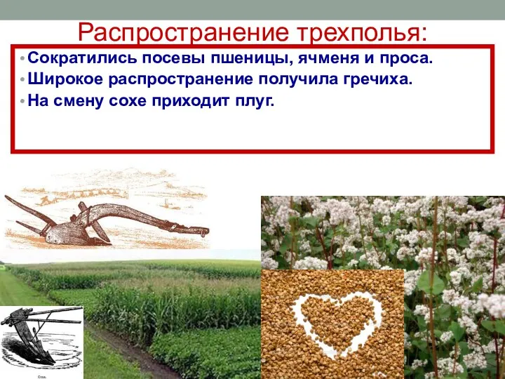 Распространение трехполья: Сократились посевы пшеницы, ячменя и проса. Широкое распространение