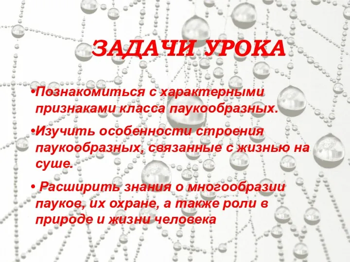 Познакомиться с характерными признаками класса паукообразных. Изучить особенности строения паукообразных,