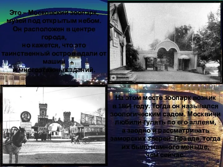 Это – Московский зоопарк, музей под открытым небом. Он расположен в центре города,