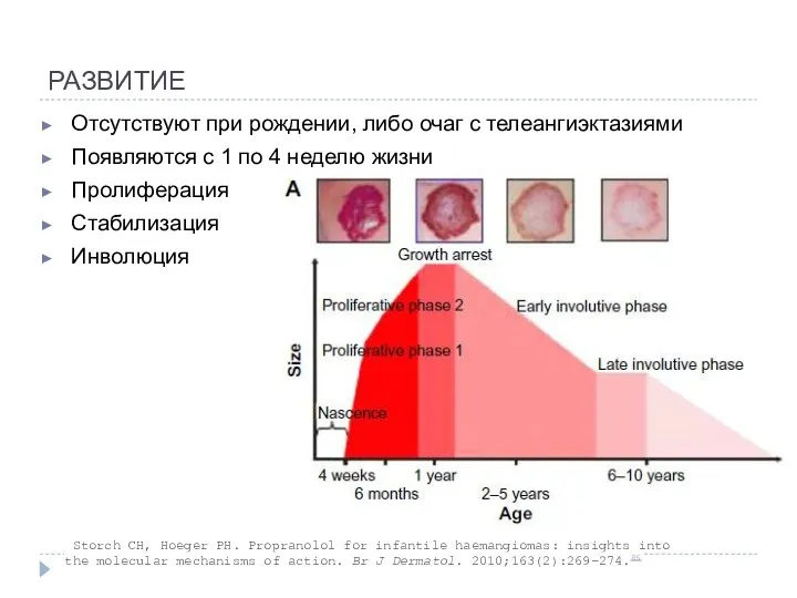 РАЗВИТИЕ Отсутствуют при рождении, либо очаг с телеангиэктазиями Появляются с