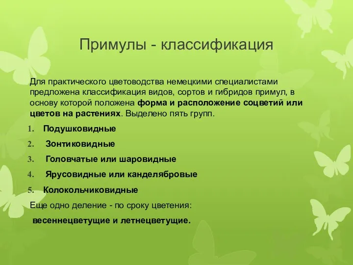 Примулы - классификация Для практического цветоводства немецкими специалистами предложена классификация