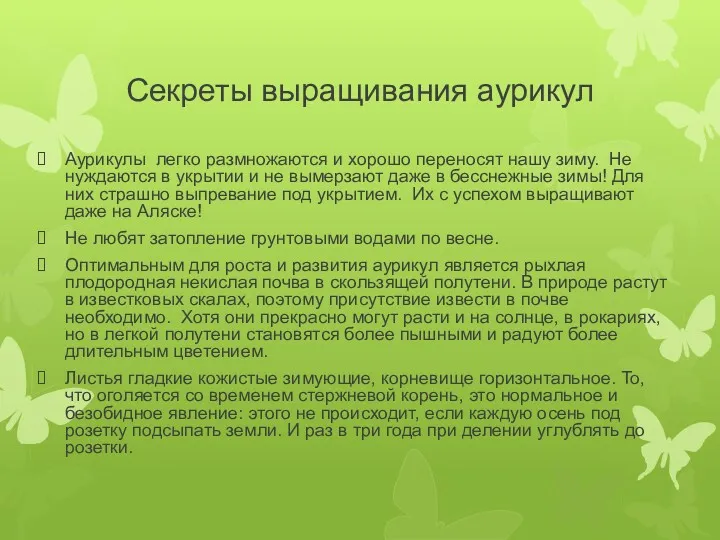 Секреты выращивания аурикул Аурикулы легко размножаются и хорошо переносят нашу