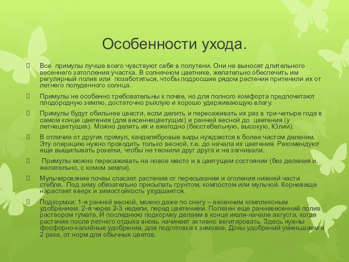 Особенности ухода. Все примулы лучше всего чувствуют себя в полутени.