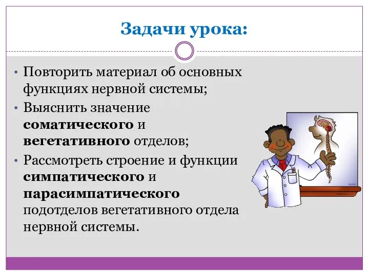 Задачи урока: Повторить материал об основных функциях нервной системы; Выяснить