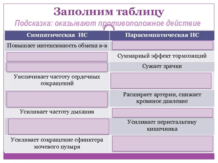 Заполним таблицу Подсказка: оказывают противоположное действие