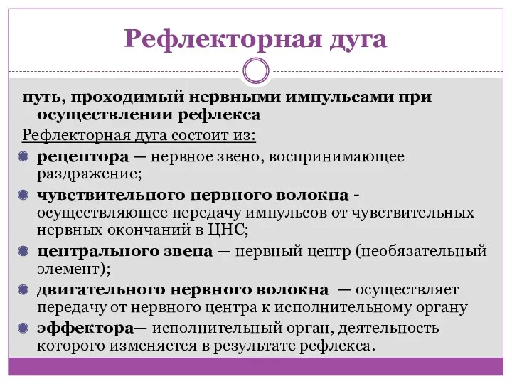 Рефлекторная дуга путь, проходимый нервными импульсами при осуществлении рефлекса Рефлекторная