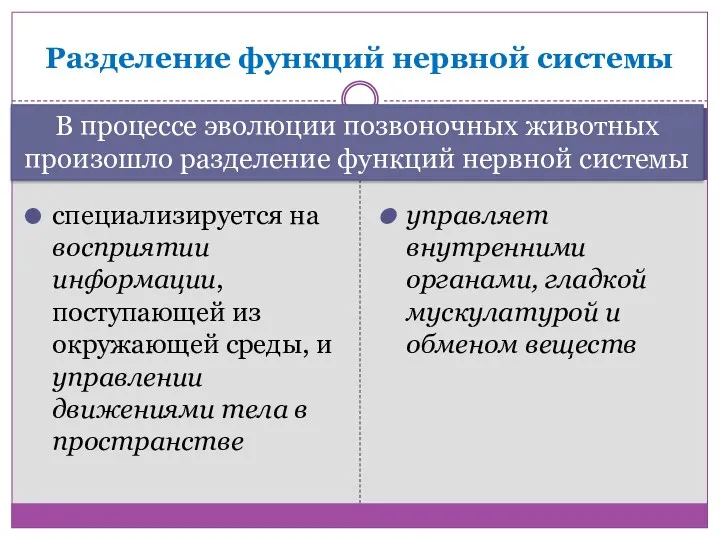 Соматический отдел Вегетативный отдел специализируется на восприятии информации, поступающей из