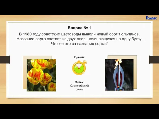 Вопрос № 1 В 1980 году советские цветоводы вывели новый сорт тюльпанов. Название