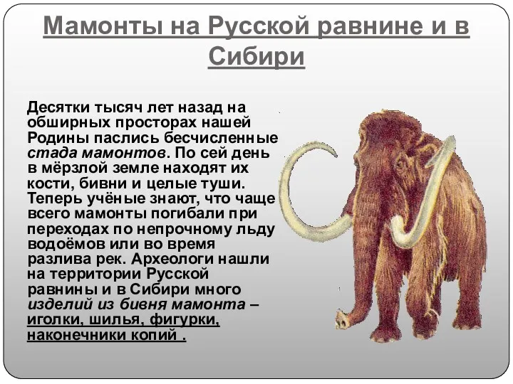Мамонты на Русской равнине и в Сибири Десятки тысяч лет