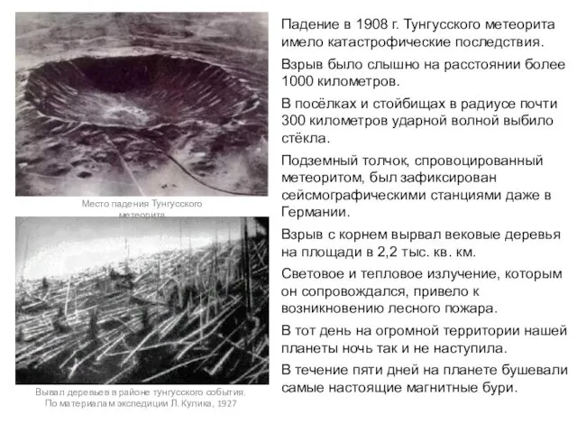 Вывал деревьев в районе тунгусского события. По материалам экспедиции Л.