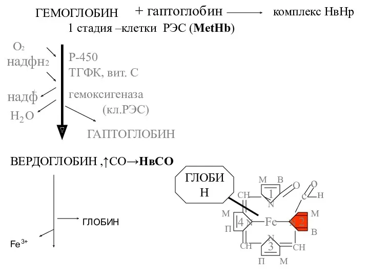 ГЛОБИН Fe3+