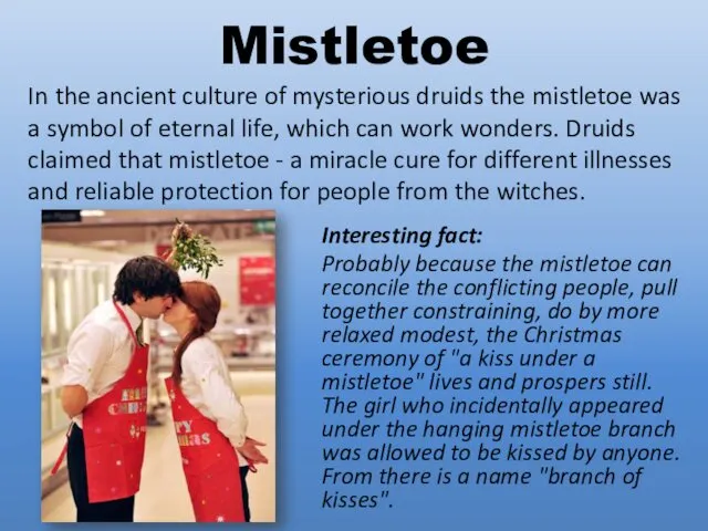 Mistletoe Interesting fact: Probably because the mistletoe can reconcile the conflicting people, pull