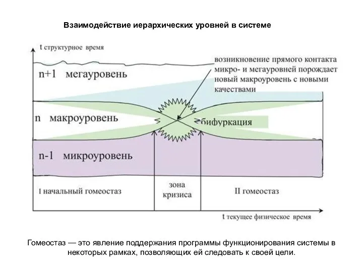 Гомеостаз — это явление поддержания программы функционирования системы в некоторых