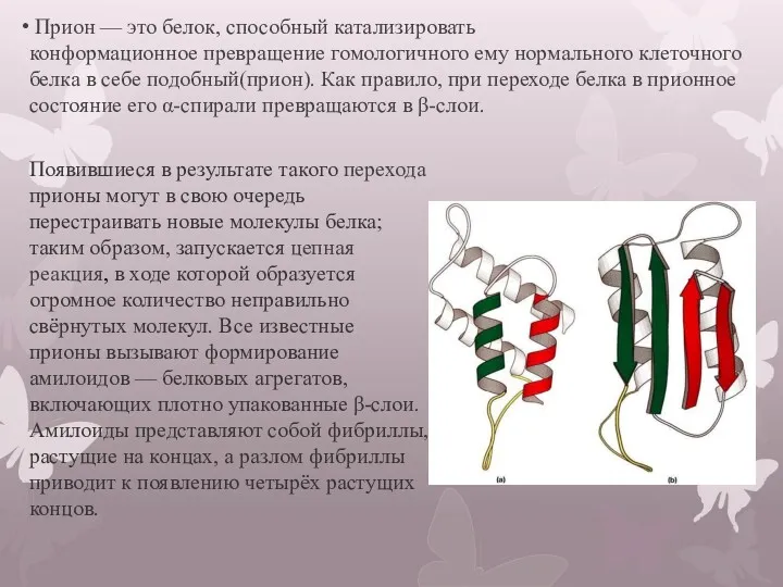 Прион — это белок, способный катализировать конформационное превращение гомологичного ему