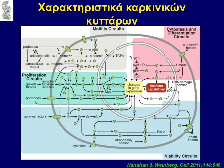 Χαρακτηριστικά καρκινικών κυττάρων Hanahan & Weinberg, Cell 2011;144:646