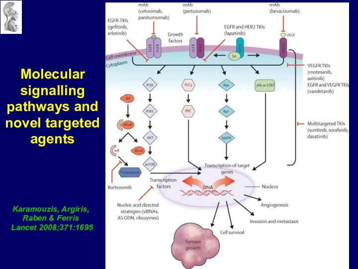 Karamouzis, Argiris, Raben & Ferris Lancet 2008;371:1695 Molecular signalling pathways and novel targeted agents