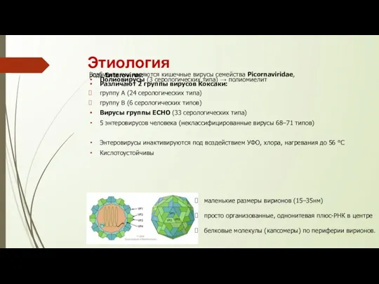 Этиология Возбудитеями являются кишечные вирусы семейства Picornaviridae, рода Enterovirus: Полиовирусы